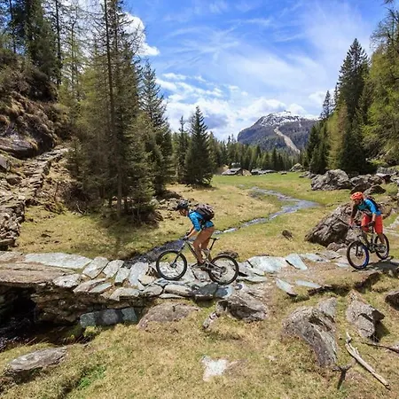 Affittacamere Casa Bavo Gerola Alta