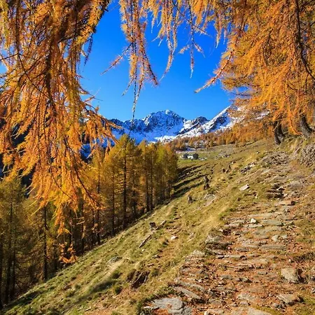 Affittacamere Casa Bavo